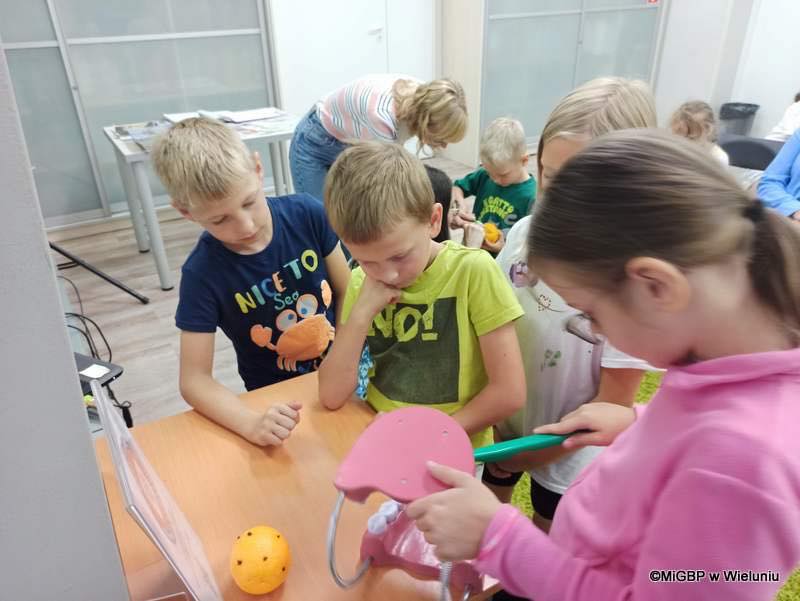 Zobacz galerię