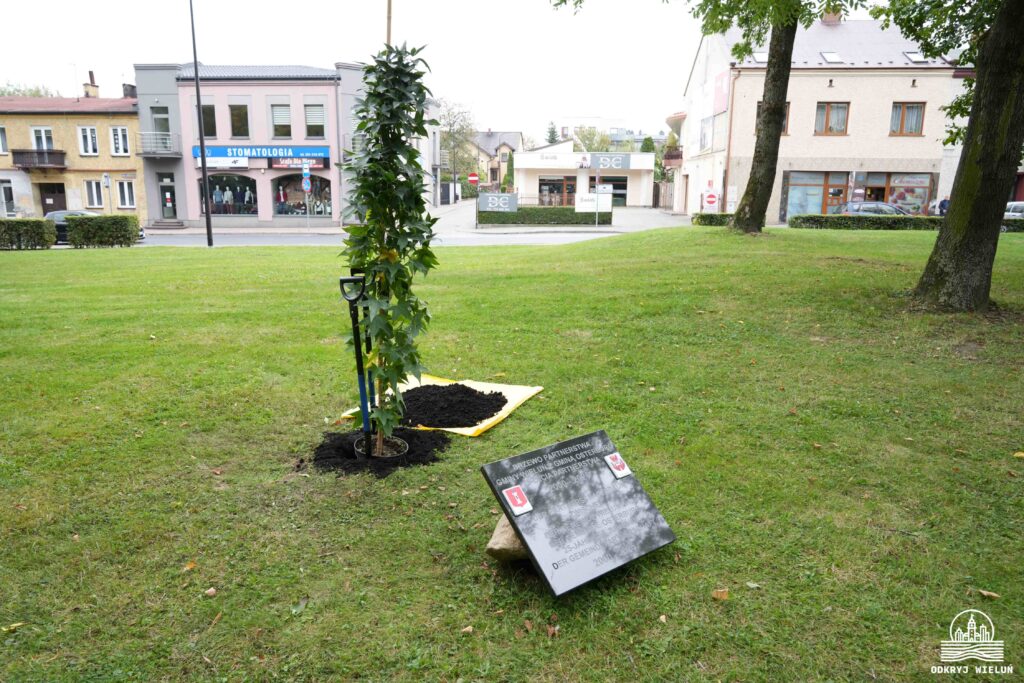 Zobacz galerię